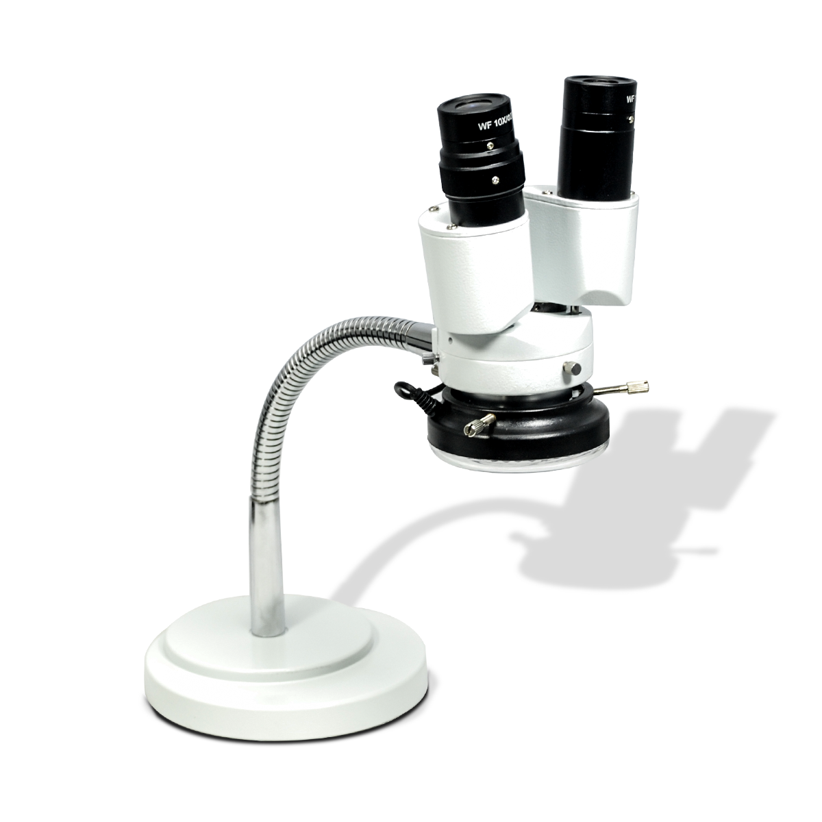Stereo Microscope